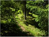 Polje - Planina Osredki